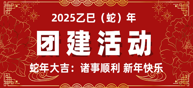 回首辉煌2024，展望璀璨2025 —— 约翰芬雷好朋友科技蛇年团队建设盛典精彩回顾！